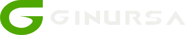 GINURSA Constructora